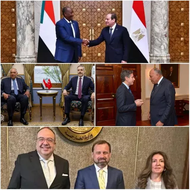 Egypt...continues to play a positive role in resolving the Sudanese crisis and ending the war