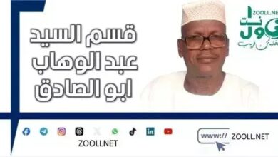 From the joy of massacre to a terrible defeat: the story of the crushing of rebel militias in the Nile and in the North ✍️ Mr. Abdel Wahab's column