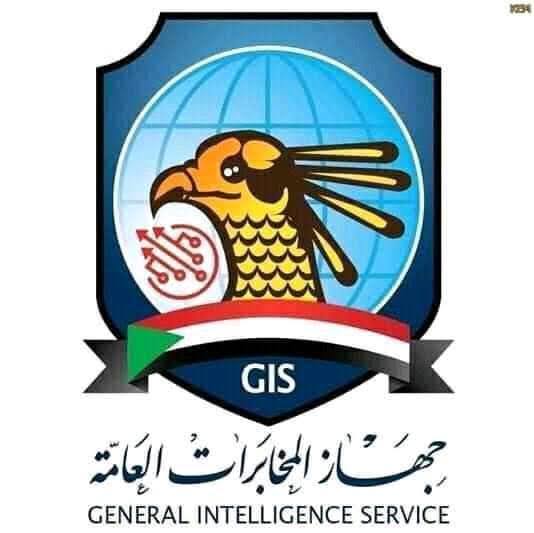 Full Details of the General Intelligence Service (Amendment) Act, 2024