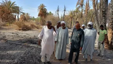 Hebrew unit director assesses scale of losses in palm tree fire in villages of Aro and Achinemto