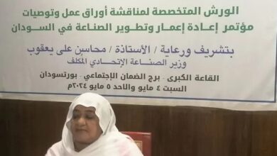 Minister of Industry: Reveals that the industrial sector has been completely destroyed in Khartoum and Gezira states