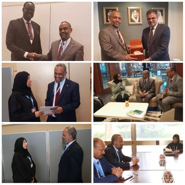 On the sidelines of the World Health Assembly, the Minister of Health: meets several of his counterparts and reviews the health situation in Sudan