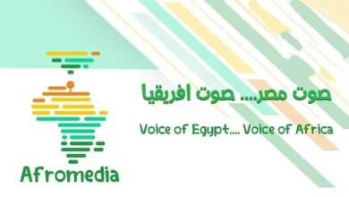 Sudanese journalists participate in training for the Afromedia initiative