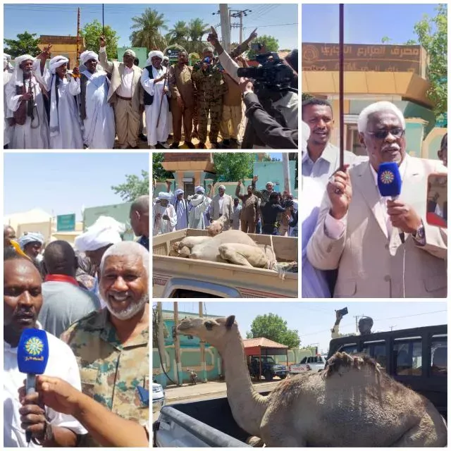 The Nile governor, addressing the convoy of the Bisharin tribe heading towards the armed forces in Khartoum, highlighted the distinction between the tribe and the convoy.