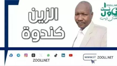 The importance of laying off North Kordofan water workers and the need to transfer the budget to the water and environmental sanitation project ✍️ Al-Zein Kendwa