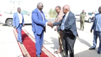 Vice-president of the Sovereignty Council visits Eritrea