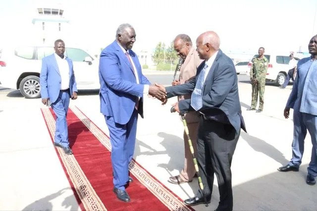 Vice-president of the Sovereignty Council visits Eritrea