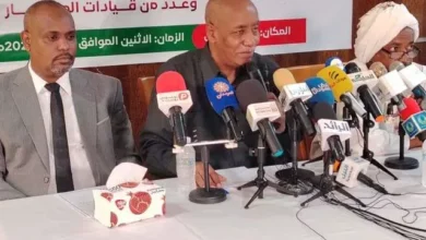 Al-Tom Hajo warns against plan to fragment Sudan by targeting the centre of the country