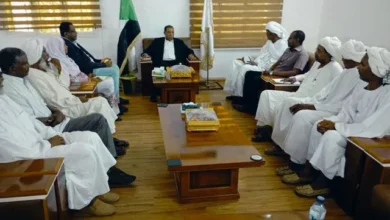 Northern Governor Meets Delegation from Arab Haj Hospital