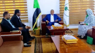 Northern Governor Meets Health Ministry Director General to Review Outcomes of Port Sudan Visit