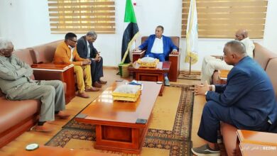 Northern Governor meets delegation from National Radio and Television Authority