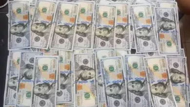 Shendi: Security services seize $18,000 counterfeit money