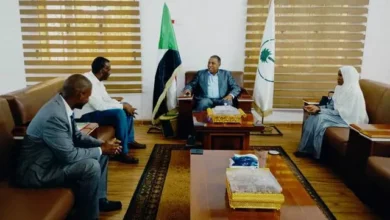 The Governor of the North confirms his support for the activities and programs of the Higher Council for Youth and Sports