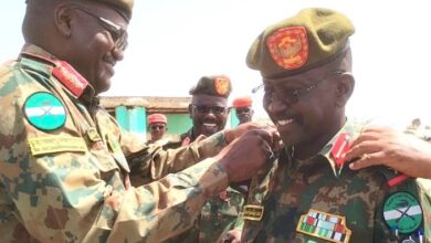 The leader of the White Sea Crocodiles is promoted (one of the crocodiles) to the rank of Brigadier General in the base where the trenches and breaches are located.