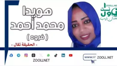 What are you doing, our security services, in South Kordofan, especially in the city of Dilling...??? - To tell the truth - ✍️ Howaida Muhammad Ahmed (Farwa)