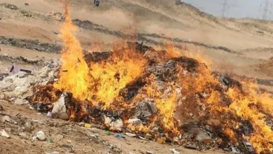 Destruction of expired food in the Wadi Halfa area