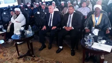 Minister of Endowments returns home after attending international conference in Cairo