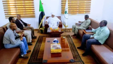 Northern Governor Discusses Problems of Koka Agricultural Project