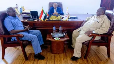 Northern Governor Meets Darfur Region Governor General Coordinator