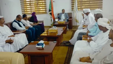 Northern Governor meets delegation from Rumi Al-Bakri Hospital