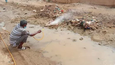 Shendi: Expanding the scope of spraying operations against flies and mosquitoes in areas flooded by rainwater