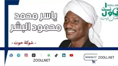 Sudanese Radio.. The Inability of Those Who Are Able to Finish - Whale Thorn - ✍️ Yasser Muhammad Mahmoud Al-Bishr