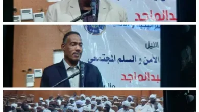 The Governor of Nile, in his speech at the workshop on the role of community leaders in promoting community security and peace, highlighted the role of civil and popular leaders in strengthening the national spirit and raising the sense of security of citizens.