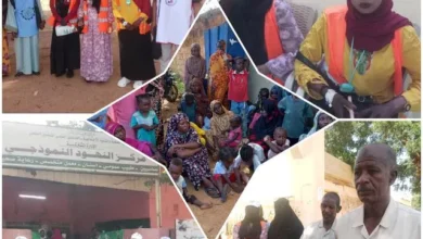 In partnership with health insurance. Al-Nahud charity My Shadows organizes educational day for displaced people at University of West Kordofan