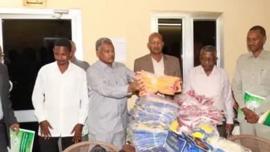 Nile State Minister of Culture, Information and Communications Opens Training Workshop for Directors and Supervisors of Student Activities in Residential Complexes, Inaugurates Delivery of Incentive Aids to Complexes