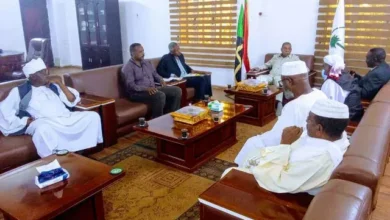 Northern Governor Reviews Progress of Al-Dabba Stadium