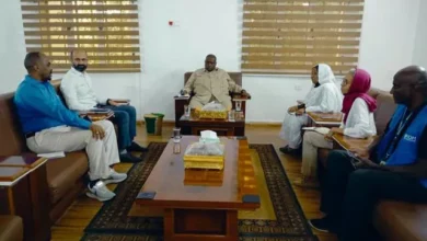 Northern Governor's Advisor Discusses with International Organization for Migration Delegation How to Support Youth