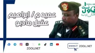 Panorama (2) - Analyze information on the final battle of El Fasher, measure attack patterns and reveal trends in enemy intentions across different theaters of operations in Sudan ✍️ Brigadier General Ibrahim Aqil Madibo