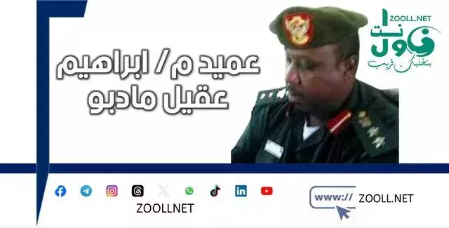 Panorama (2) - Analyze information on the final battle of El Fasher, measure attack patterns and reveal trends in enemy intentions across different theaters of operations in Sudan ✍️ Brigadier General Ibrahim Aqil Madibo