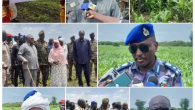 South Kordofan Police Director Reveals Features of Plan to Secure Agricultural Season