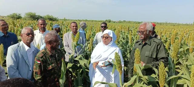 The Governor of White Nile, the State Security Committee and the delegation of the National Alert Committee examine models of agricultural projects for the cultivation of corn and sesame in the locality of Al-Jabalin.