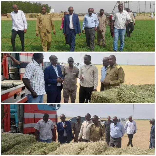 The Minister of Agriculture, Irrigation and Forestry of River Nile State and the Executive Director of Shendi Locality inspect a number of agricultural projects in the locality and stress the importance of expanding agricultural areas to increase production and support exports.