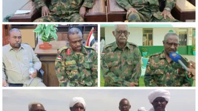 The Supreme Committee for National Mobilization, Mobilization and Popular Resistance visits the White Nile and reviews the overall security situation and the committee's programs at the state level.