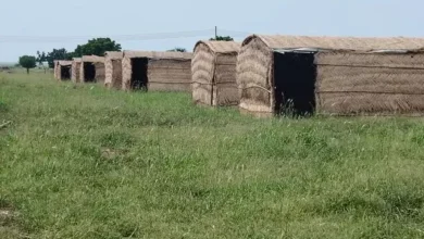 Transfer of displaced persons from Gedaref to permanent accommodation camps: The process of emptying schools begins next Monday.