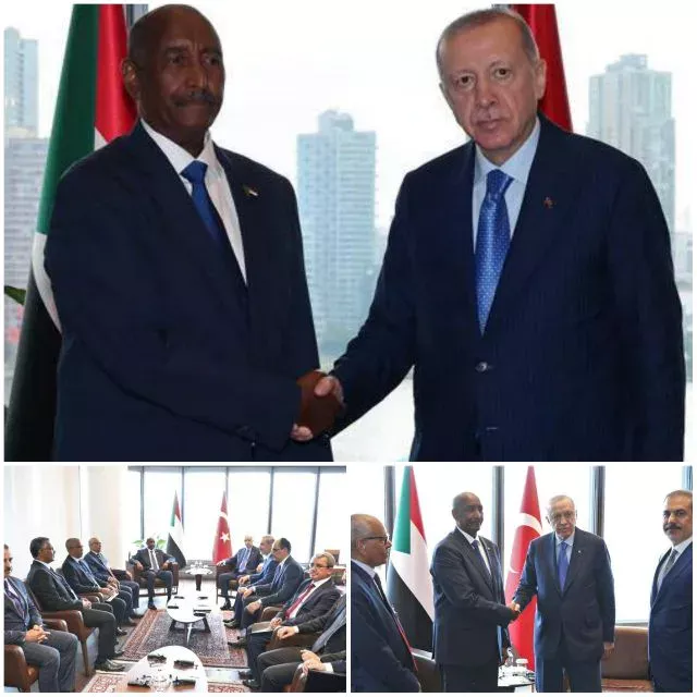 Transitional Sovereignty Council President Meets Turkish President