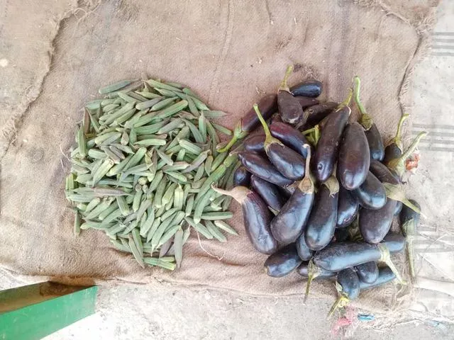 Vegetable merchant in Al-Damer market: (Siraj Al-Din) said: The arrivals from Khartoum have accelerated the pace of purchases and sales and revived the vegetable market.