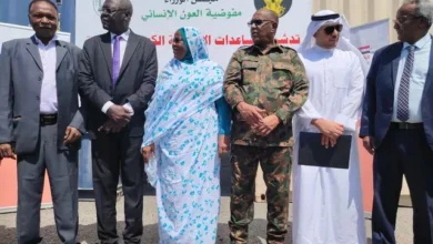 At a cost of more than two million dollars: Sudan receives a humanitarian ship provided by the States of Kuwait and Turkey