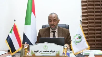 Federal Minister of Health at the fifth annual conference of the Sudanese Doctors Union in Ireland