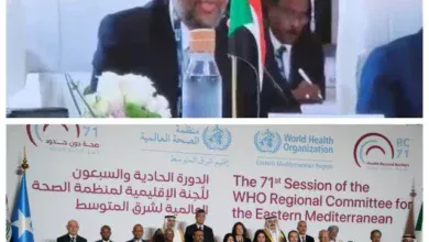 Federal Minister of Health: participates in the 71st meetings of the World Health Organization