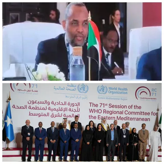 Federal Minister of Health: participates in the 71st meetings of the World Health Organization