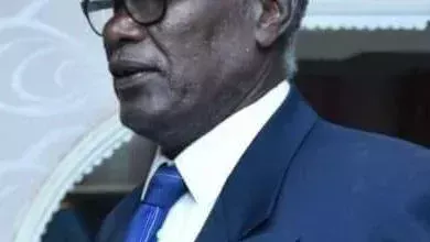 President and members of the Transitional Sovereignty Council mourn Sudanese hero and world swimmer Abdul Majeed Sultan Kijab