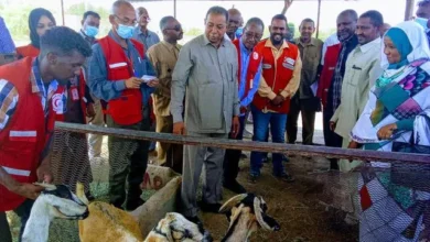 The Governor of the North launches the distribution of goats to families financed by FAO