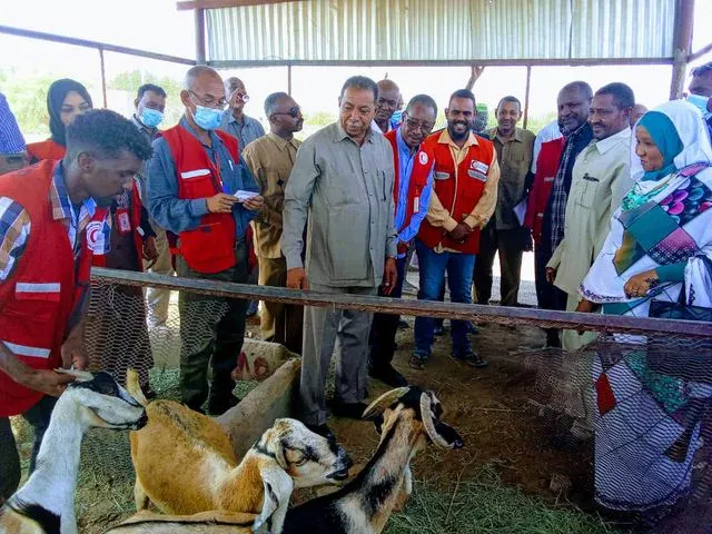 The Governor of the North launches the distribution of goats to families financed by FAO