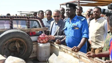 As part of its program to inspect the conditions of displaced people in villages east of Al-Jazeera in Gedaref State. Health Minister inspects displaced people in Al-Butana locality