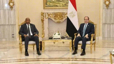 Chairman of the Sovereignty Council and Egyptian President hold joint discussion session