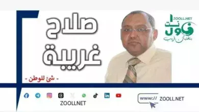 Minister Ali Youssef: Diplomatic leadership at a time of transformation - Something for the homeland - ✍️ Ing. Salah Ghariba